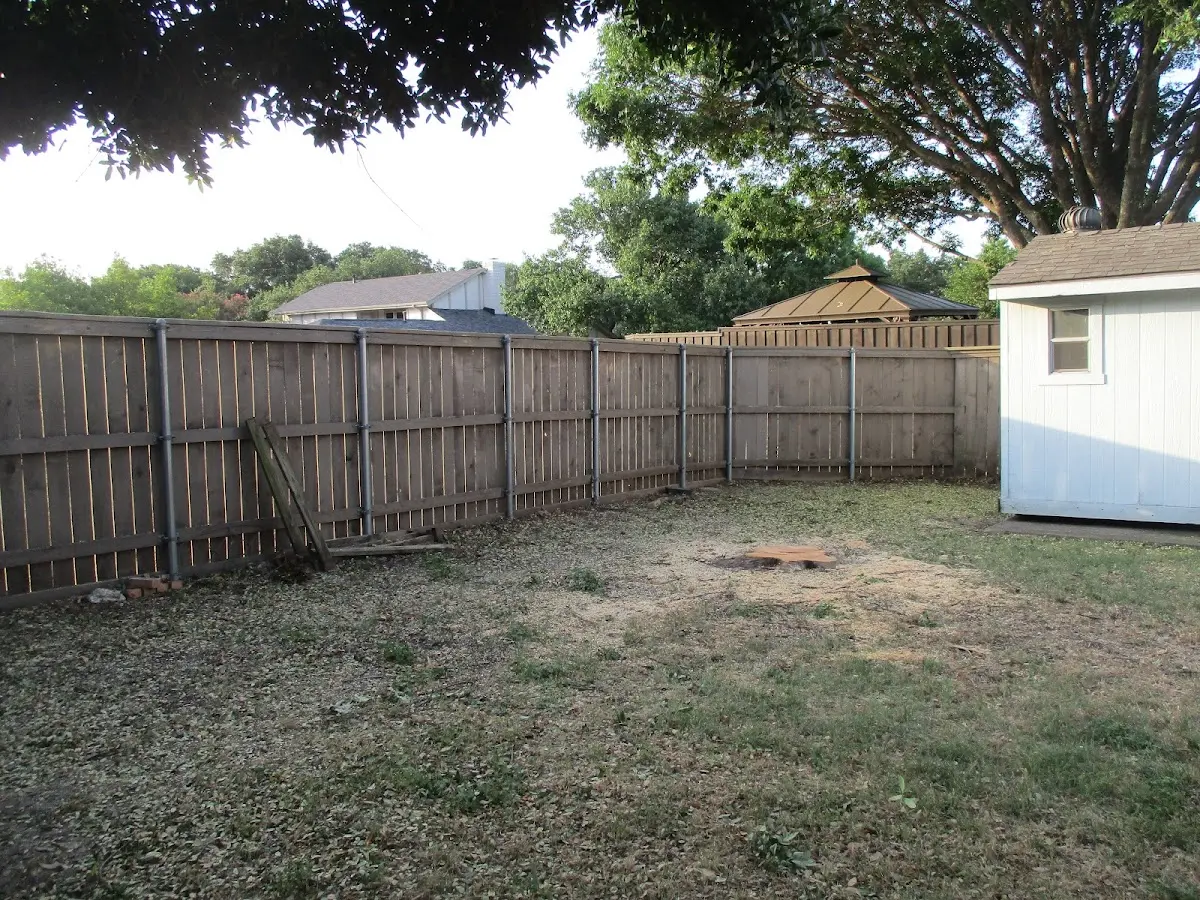 Cleared yard after professional tree removal in Camanche